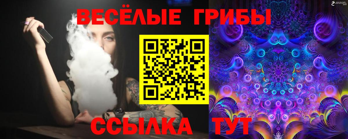 Псилоцибиновые грибы Cubensis  Вход с VPN  где можно купить наркотик  Северобайкальск 
